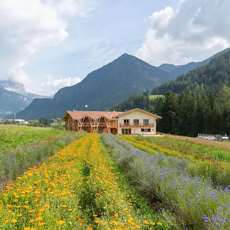 Eco-Green Fiores Agriturismo Vigo di Fassa Esterno foto